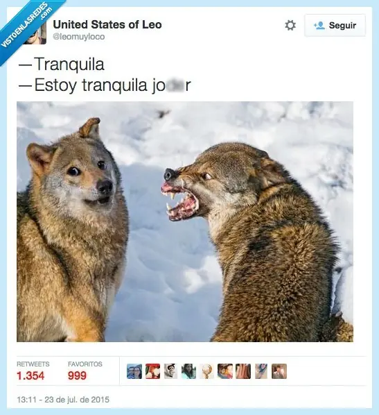 Humor perruno para este viernes [80 imagenes]