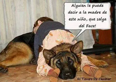 imagenes