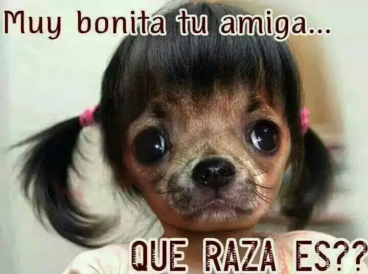 Humor perruno para este viernes [80 imagenes]