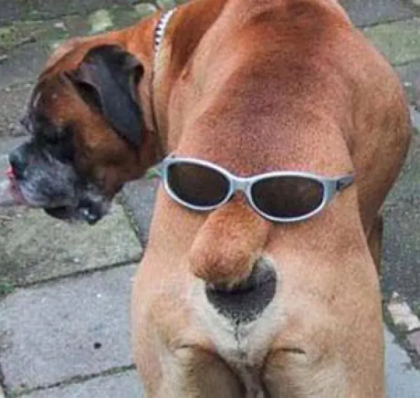 humor