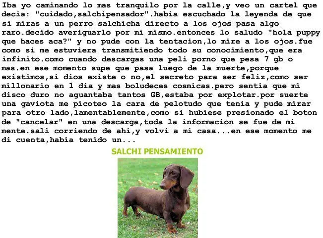 Salchi Pensamientos Dachshund Libro 6 sección Argentina C