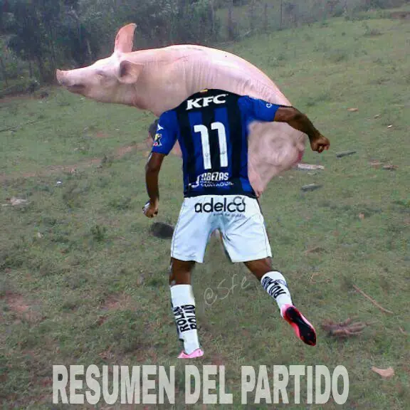 LIBERTADORES