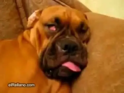 imagenes