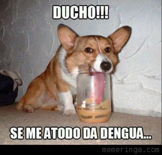 perruno