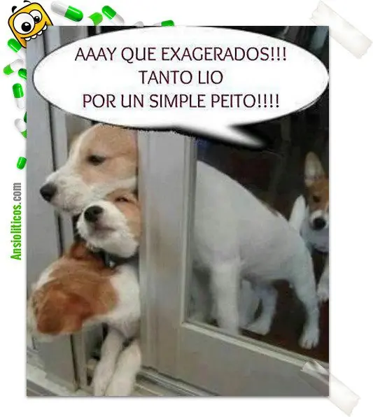 perruno