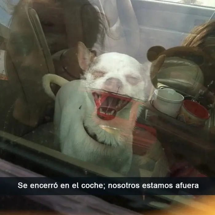 risas