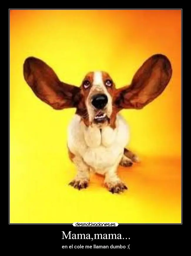 Me hicieron una Otoplastía (cirujia estetica) y te lo cuento