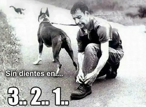 humor taringuero