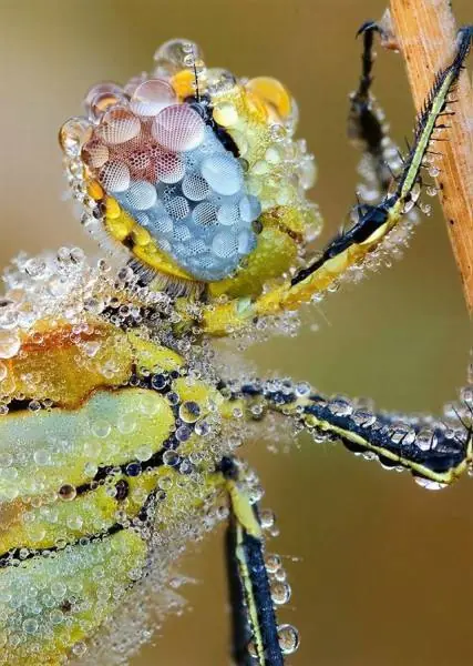 imagenes divertidas