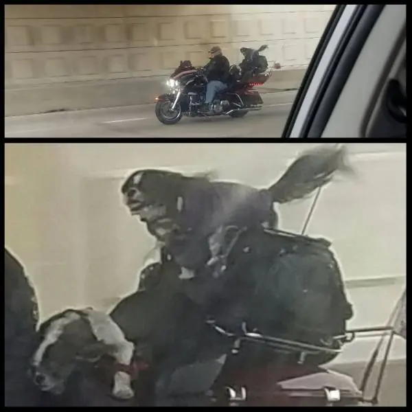 2016