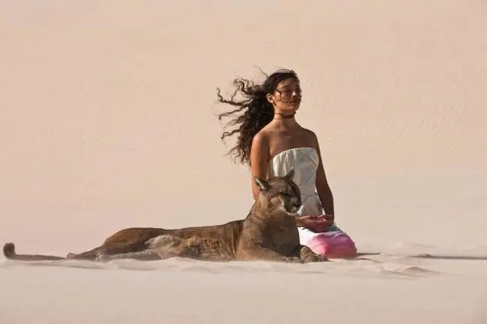 imagenes