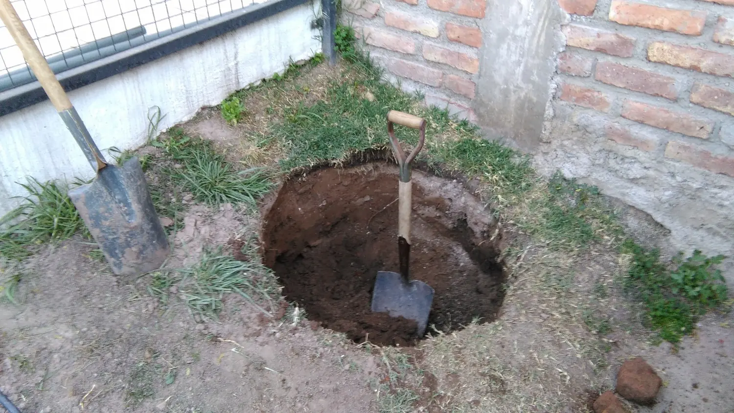 jardin