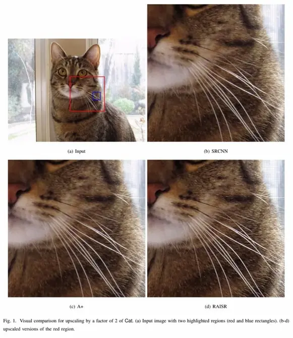 google google