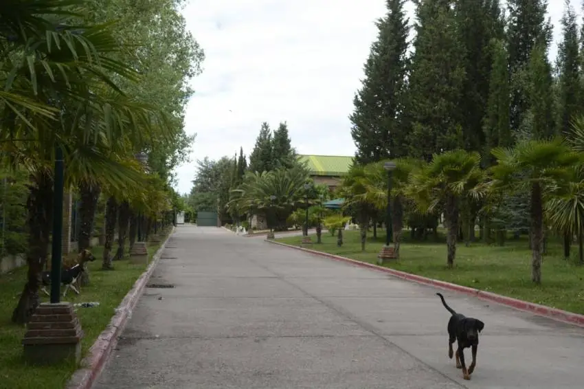 Imputaron a dos curas por abusar de chicos sordos en Mendoza