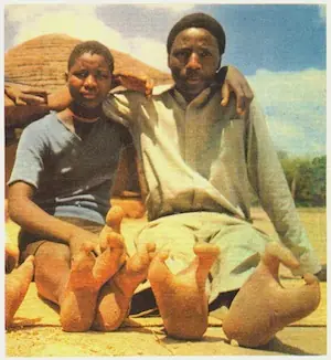 indigenas