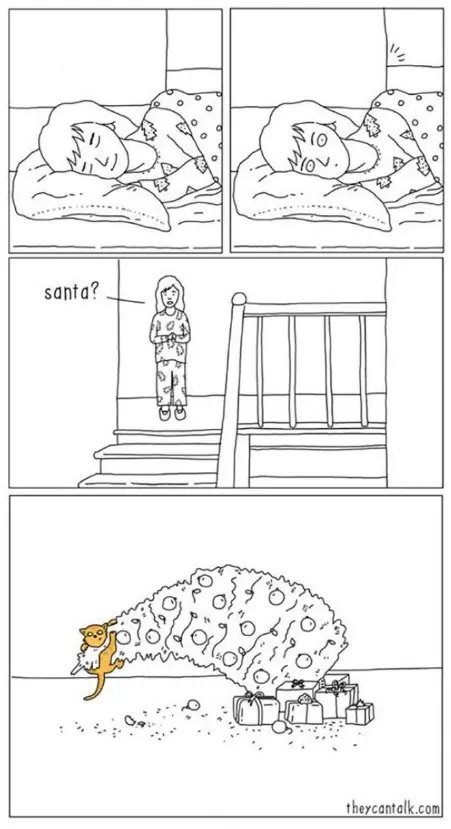 gatos
