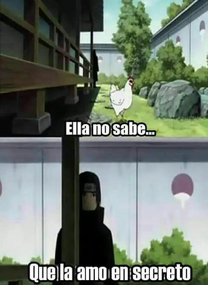30 Imágenes de humor para pasar el rato [memes]