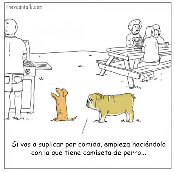 humor