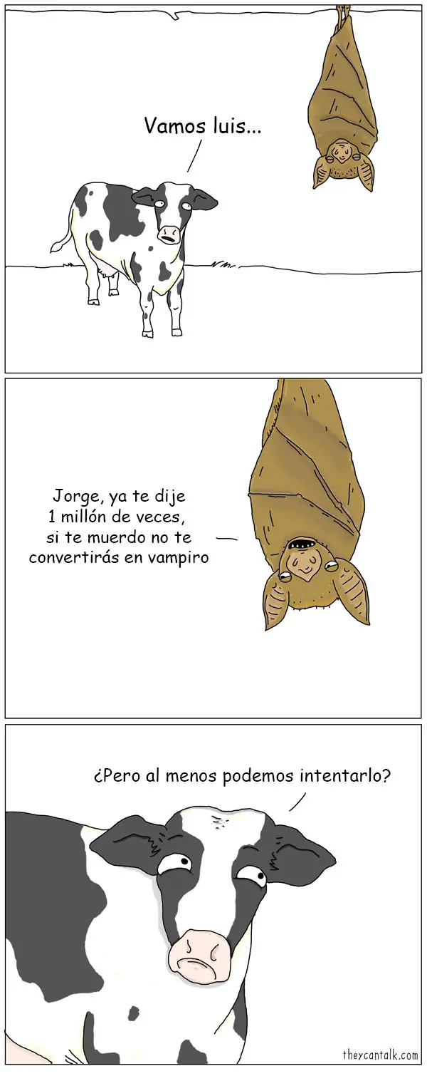 Está lloviendo pero vos cagate de risa