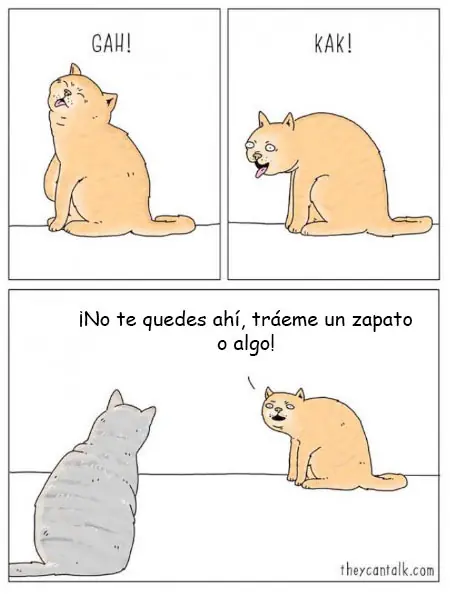 Animales Animales