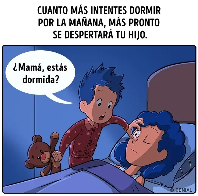 leyes