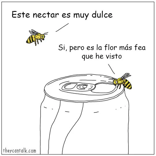 palomas
