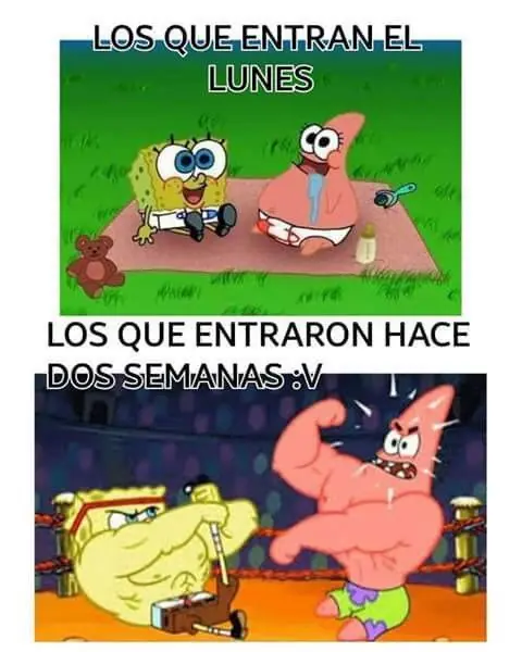 rato