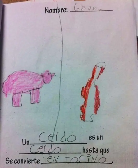 memes