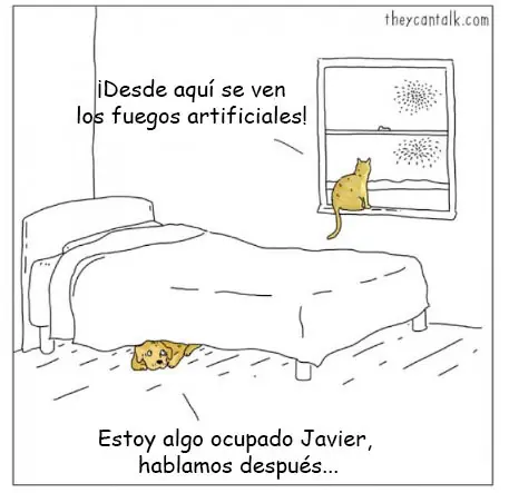 Vacas