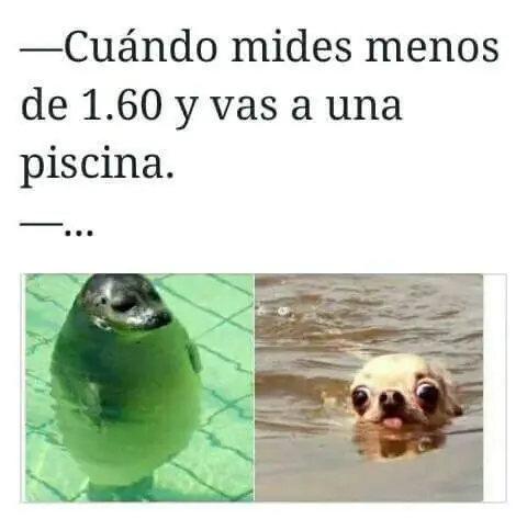 humor