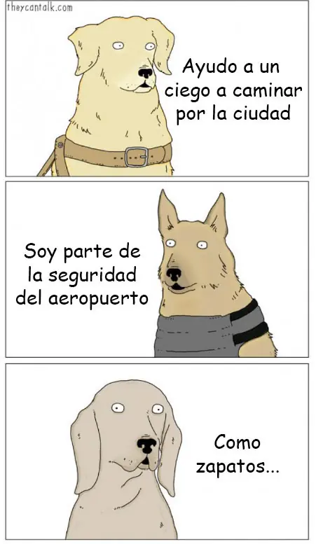 chistoso
