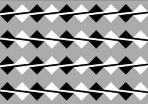 Para divertirse: videos, juegos, tests, ilusiones opticas...