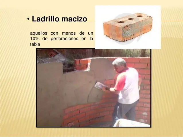 cocido