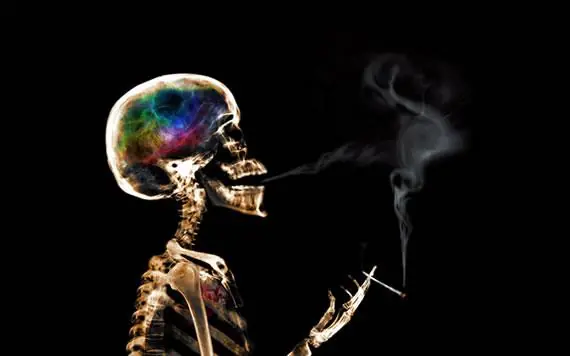8 hechos curiosos de la marihuana.