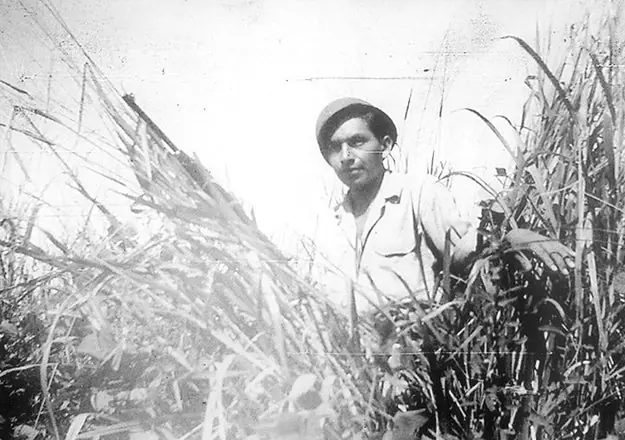 Escuadrón 201 en la Segunda Guerra Mundial