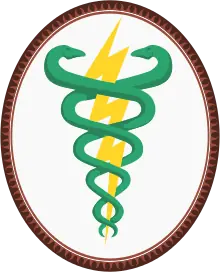 ¡Fisioterapia para todos!