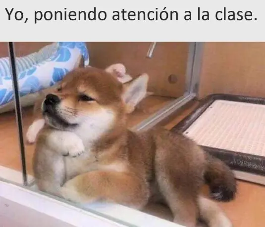 taringa
