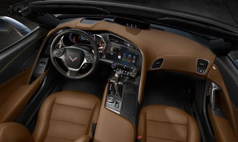 stingray