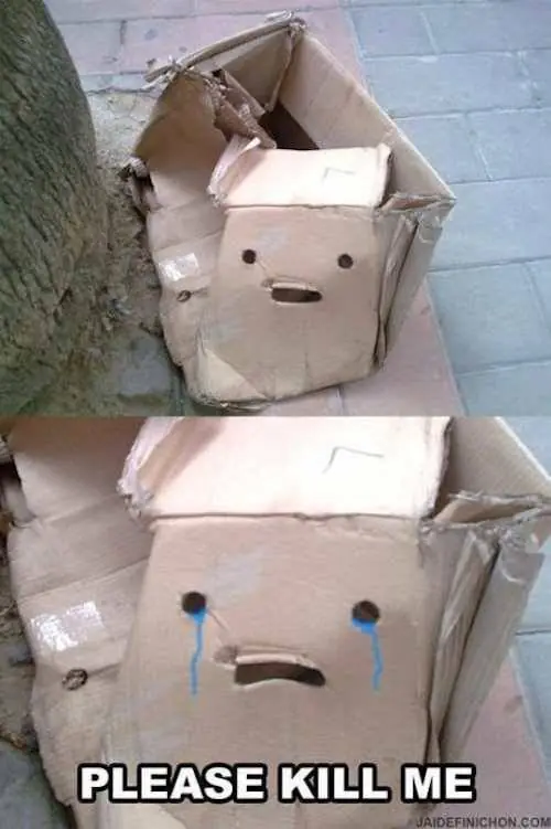 miercoles