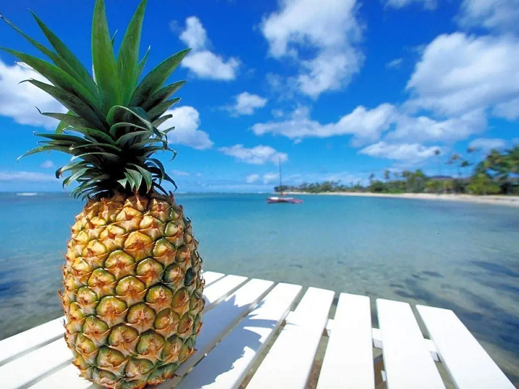 sandia