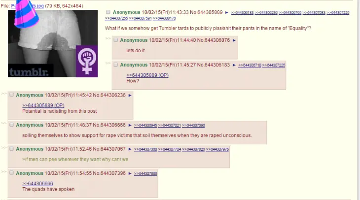 feministas