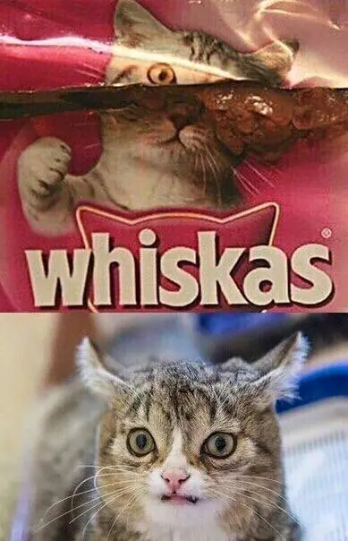 mirate