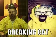 breaking bad