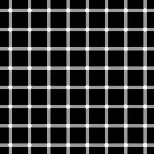 ilusiones opticas