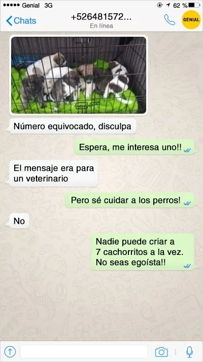 Respuestas geniales de mensajes de texto equivocados