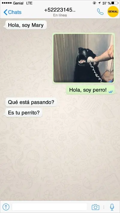 mensajes