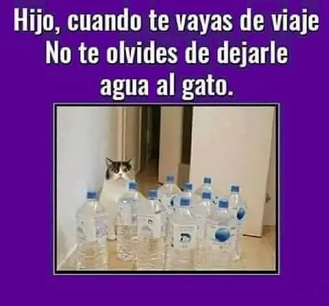 miercoles