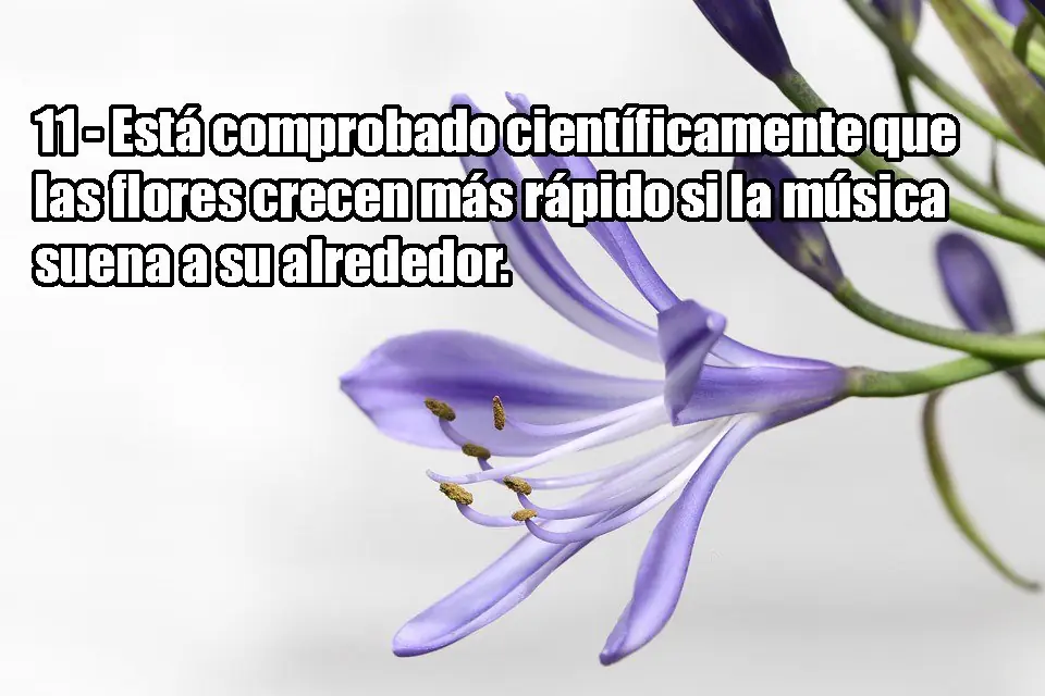 15 increíbles datos sobre la música
