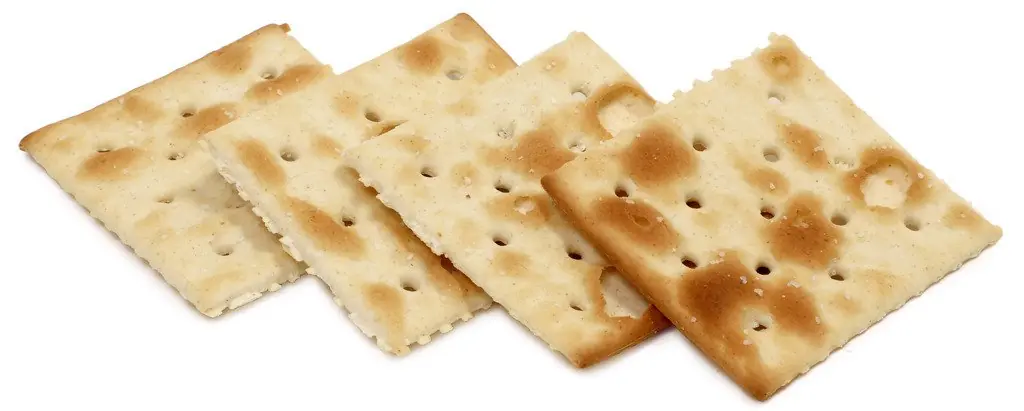 comida comida