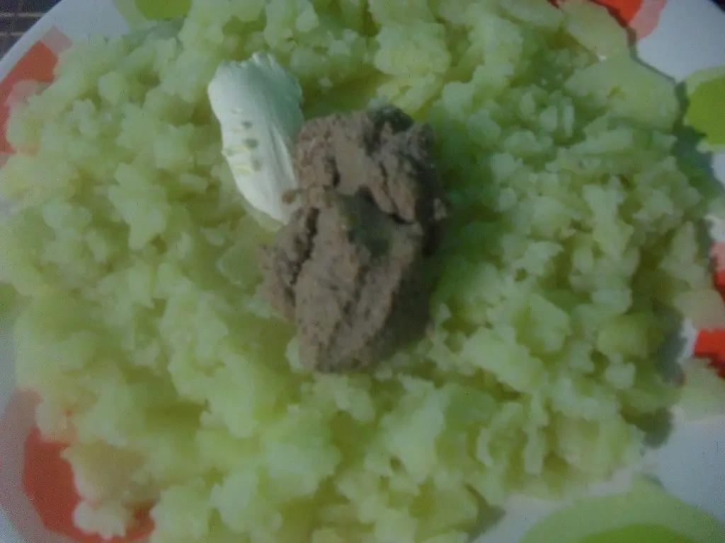comida comida